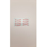 Decal marchio pinze freno F1-2000